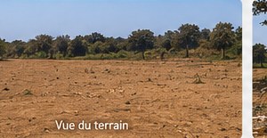 Vue du terrain