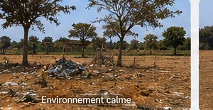Environnement calme